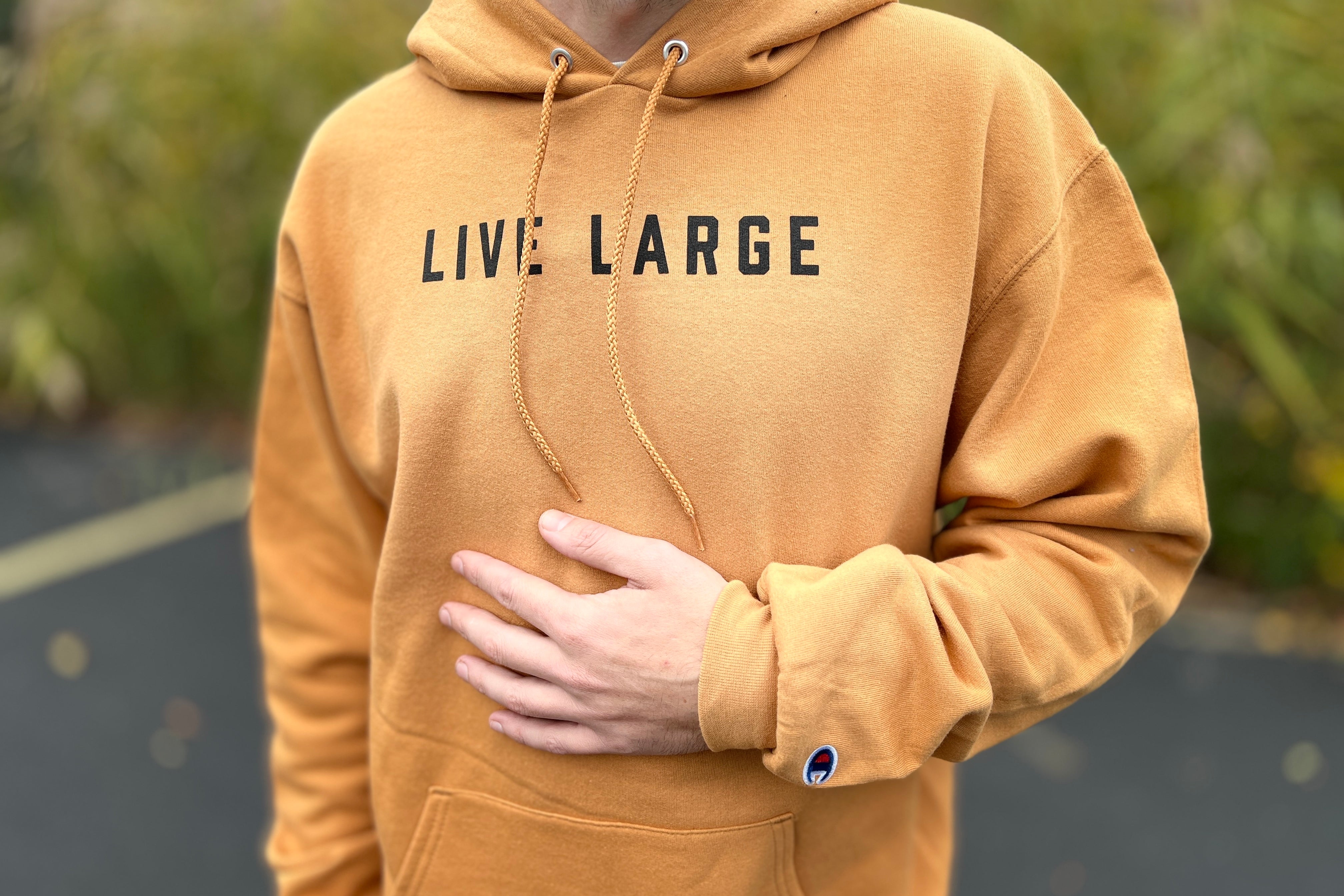 Essentials best sale hoodie large